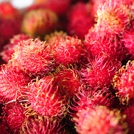 Rambutan